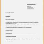 Außergewöhnlich 15 Kündigung Arbeitnehmer Muster Kostenlos