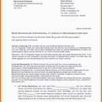 Außergewöhnlich 20 Testament Vorlage Alleinerbe