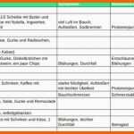 Außergewöhnlich 40 Fresh Ernährungstagebuch Vorlage