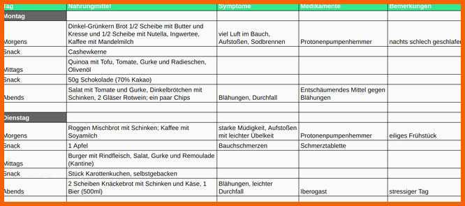 Außergewöhnlich 40 Fresh Ernährungstagebuch Vorlage