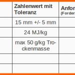 Außergewöhnlich Anforderungsliste software Beispiel Essay Essay for You