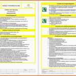 Außergewöhnlich Aufgaben Der Vefk Arbeitsanweisung Muster Vorlage