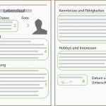 Außergewöhnlich Biografie Vorlage Altenheim Einzigartig Lebenslauf