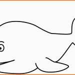 Außergewöhnlich Jona Im Wal Ausmalbilder Jonah In the Whale Coloring Pages