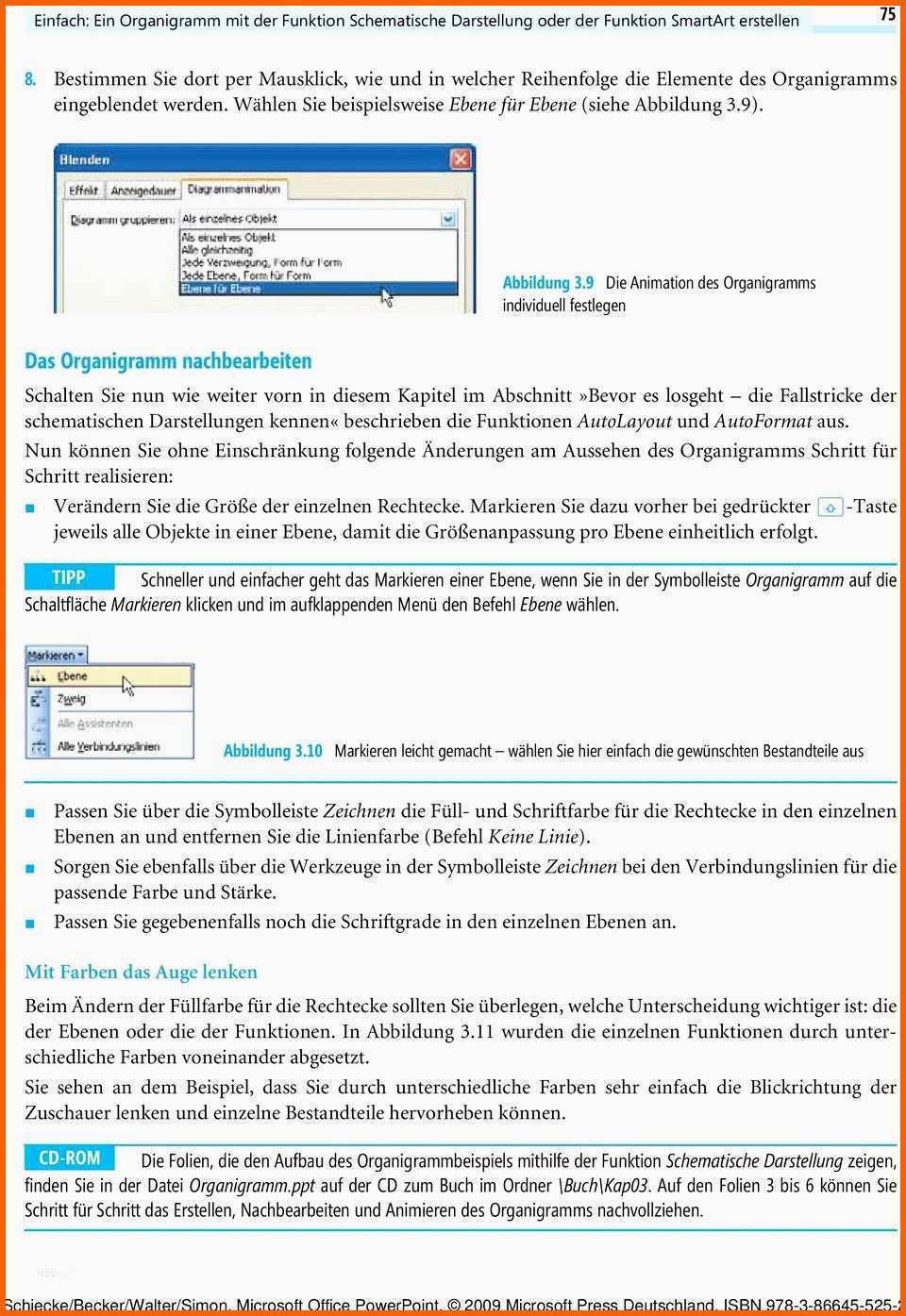 Außergewöhnlich organigramm Vorlage Powerpoint Schön atemberaubend
