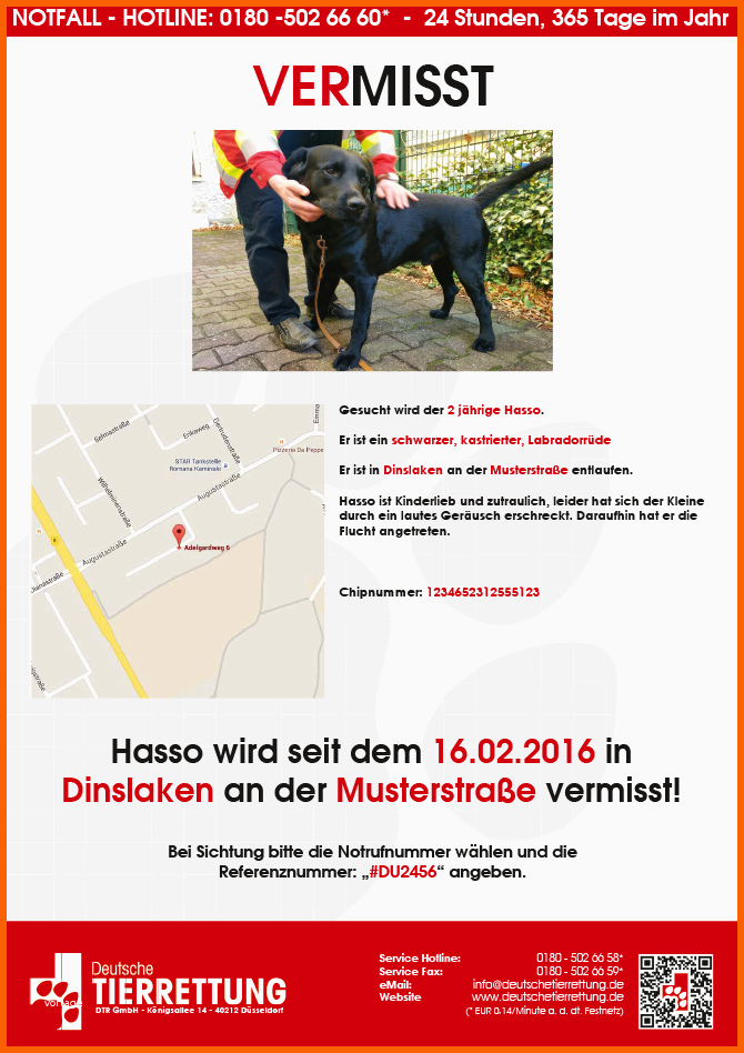 Außergewöhnlich Suchplakate Für Vermisste Tiere Zum Drucken – Tierrettung