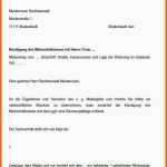 Ausgezeichnet 11 Fristlose Kündigung Gewerbemietvertrag Muster