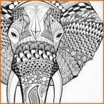 Ausgezeichnet 25 Einzigartige Mandala Tiere Ideen Auf Pinterest