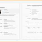 Ausgezeichnet Ausführlicher Lebenslauf – formulierungen Und Muster