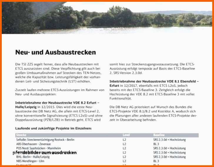 Ausgezeichnet Gutschein Kostenlos Drucken Das Beste Von Adler Bilder Zum