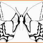 Ausgezeichnet Malvorlagen Schmetterling 9