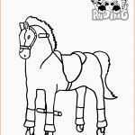 Ausgezeichnet Pin Von Hertie Auf Animal Riding Ausmalbilder
