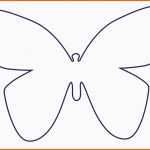 Ausgezeichnet Schmetterling Basteln Schmetterlinge Aus Filz Papier