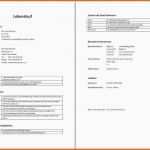Ausgezeichnet Tabellarischer Lebenslauf Schüler Vorlage Word – Wordde