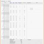 Ausgezeichnet Vorlage Zur Dokumentation Der Täglichen Arbeitszeit Excel
