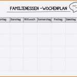 Ausnahmsweise 17 Arbeitsplan Muster