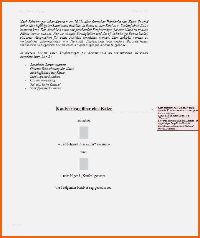 Ausnahmsweise 20 Expose Immobilien Vorlage