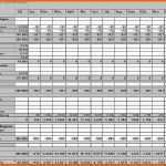 Ausnahmsweise Businessplan Excel