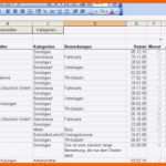 Ausnahmsweise Einnahmen Ausgaben Excel Vorlage
