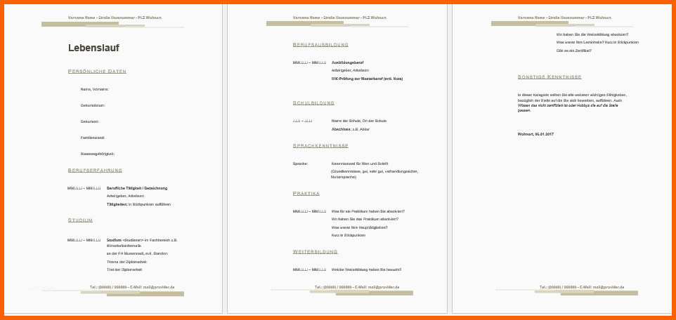 Ausnahmsweise Lebenslauf Libreoffice Openoffice Muster Vorlage