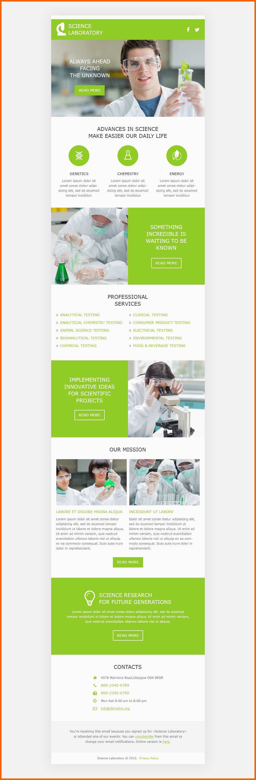 newsletter templates tipo