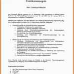 Ausnahmsweise Praktikumszeugnis Englisch Vorlage