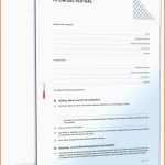 Ausnahmsweise Tfp Contract Template Along with Hair Stylist Contract