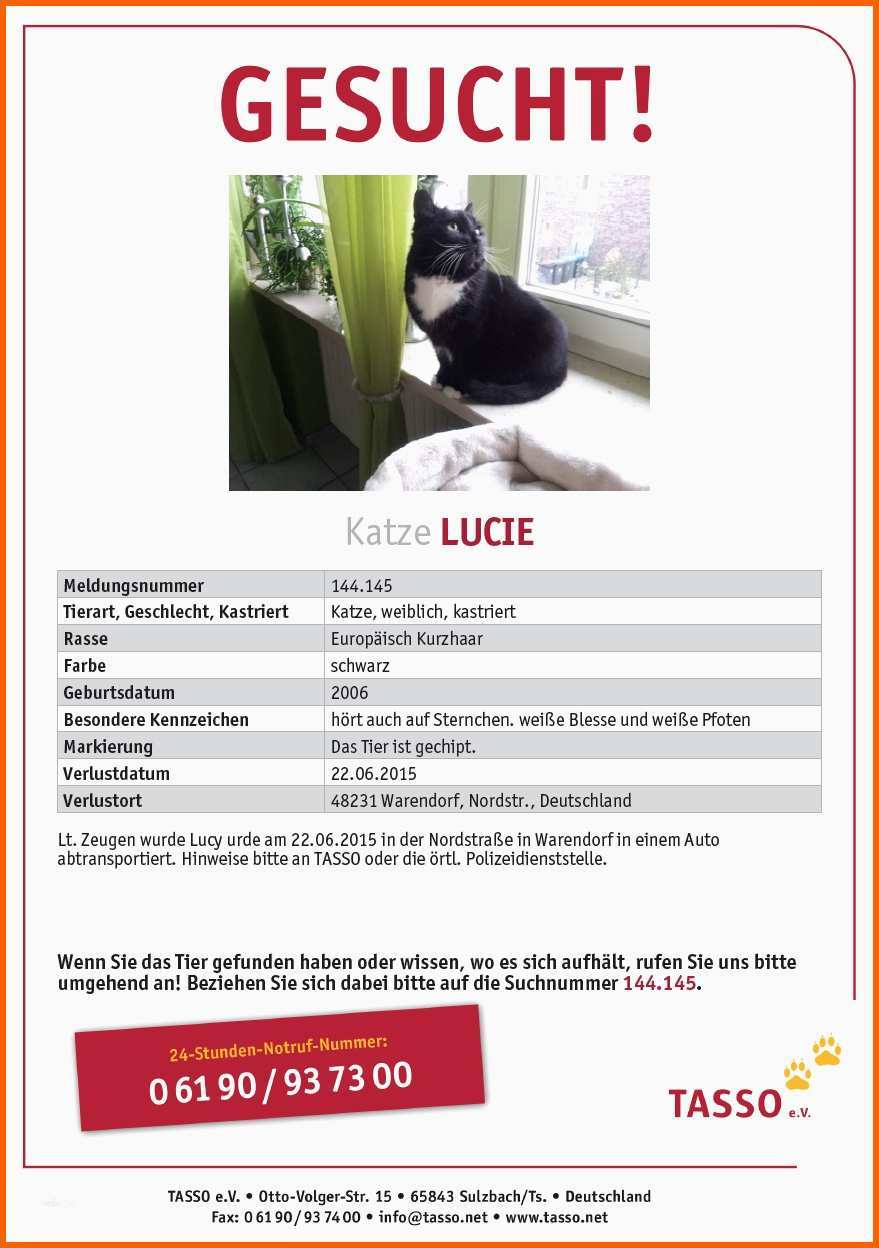 Ausnahmsweise Vermisstenanzeige Katze Vorlage Hbsch Hilfe Unser Bsi ist