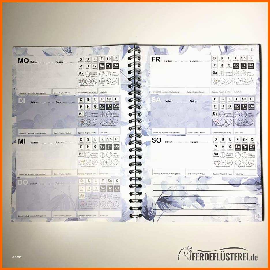 Beeindruckend 11 Trainingsplan Pferd Vorlage