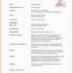 Beeindruckend Bewerbung Ausbildung Vorlage 6 Second Resume Template