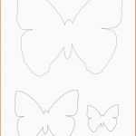 Beeindruckend butterflies Selber Machen