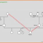 Beeindruckend Genogrammanalyse – Bsdr Coaching