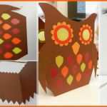 Beeindruckend Kostenlose Diy Vorlage Laterne Eule Selber Basteln