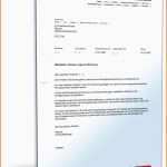 Beeindruckend Selbstauskunft Mieter Muster Zum Download