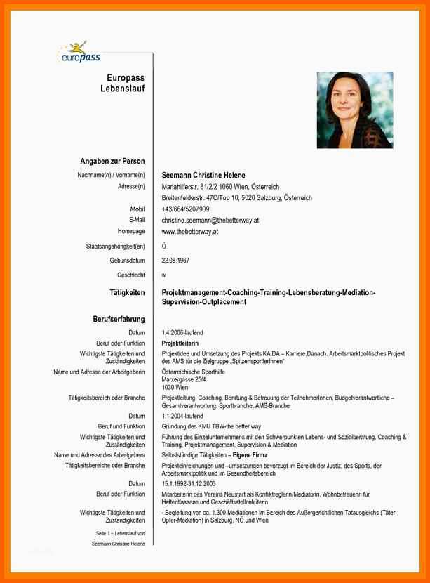 Bemerkenswert 13 Curriculum Vitae Vorlage Deutsch