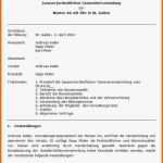 Bemerkenswert 13 Protokoll Vorlage