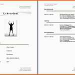 Bemerkenswert 20 Lebenslauf Vorlage Openoffice