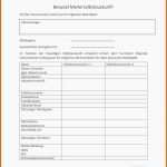 Bemerkenswert 51 Beste Selbstauskunft Mieter Vorlage Word Ideen