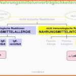 Bemerkenswert Allergene Speisekarte Vorlage Genial Einzigartiges