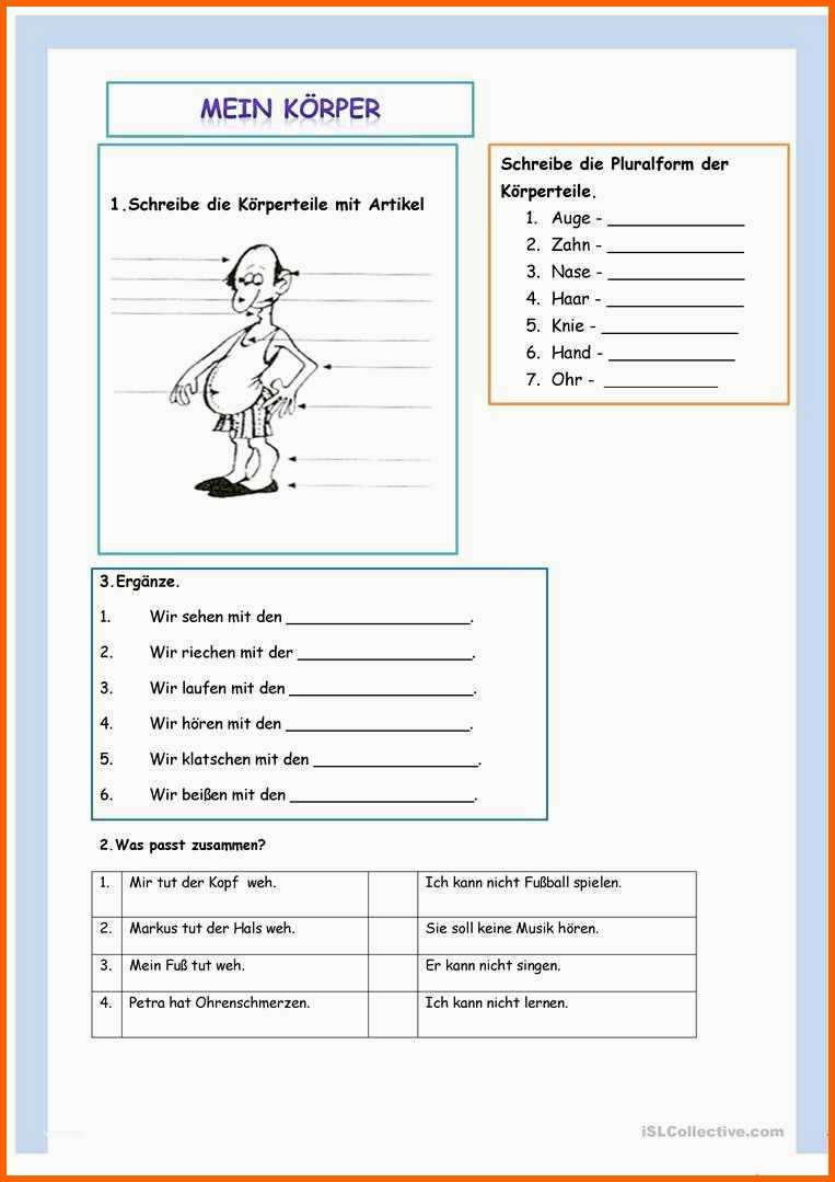 Bemerkenswert Arbeitsblätter Mein Körper Kindergarten Die Besten