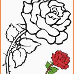 Bemerkenswert Blumen Vorlagen 2
