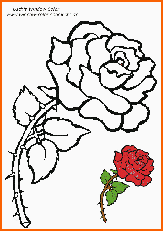 Bemerkenswert Blumen Vorlagen 2