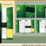 Bemerkenswert Broschüre Design Vorlage — Stockvektor © Miobra