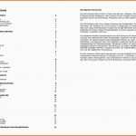 Bemerkenswert Businessplan Vorlage Schweiz Word Kostenloser Download