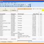Bemerkenswert Einnahmen Ausgaben Excel Vorlage Kleinunternehmer Papacfo