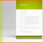 Bemerkenswert Eu Lebenslauf Zum Download Mit Anschreiben In Ms Word