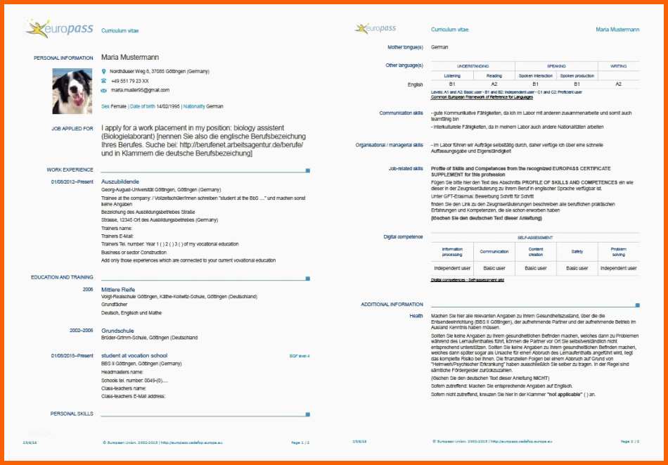 Bemerkenswert Extraordinay Eu Lebenslauf Englisch Vorlage 50 Awesome