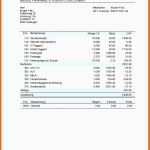 Bemerkenswert Gehaltsabrechnung Vorlage Kostenlos – Vorlagens Download