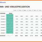 Bemerkenswert Gewinn Und Verlustrechnung