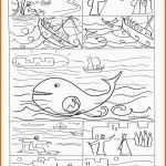 Bemerkenswert Jona Im Wal Ausmalbilder Jonah In the Whale Coloring Pages